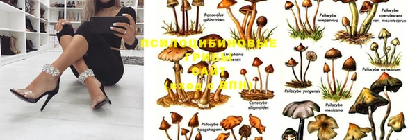 мет Алзамай
