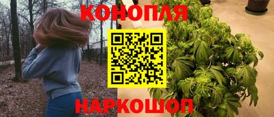 мяу мяу мука Шебекино