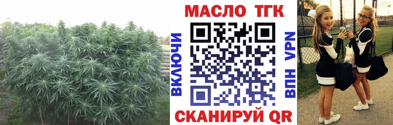 наркотики  hydra tor  Дистиллят ТГК жижа  Анапа 