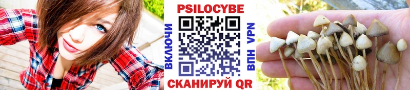 даркнет формула  Анапа  Галлюциногенные грибы мицелий 