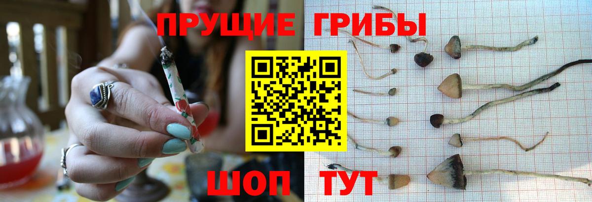 Псилоцибиновые грибы ЛСД  Вход с VPN  Анапа 